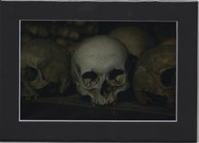 Cargar imagen en el visor de la galería, 4x6 Matted Art Prints
